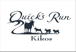 Quick's Run Kikos